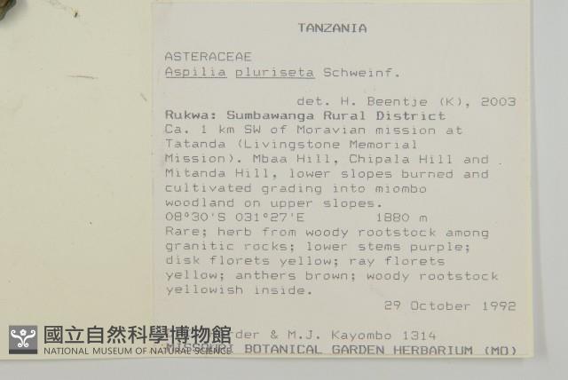 登錄號:S093558藏品圖，第2張