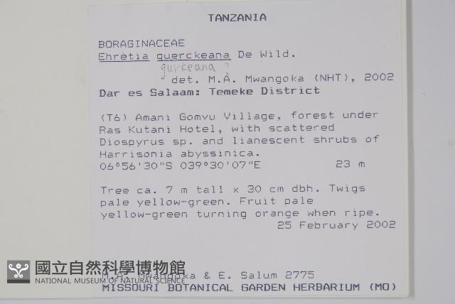 登錄號:S097558藏品圖，第2張