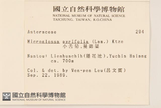 小舌菊、蔓綿菜藏品圖，第2張