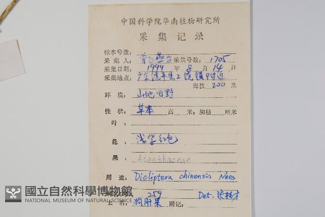 華九頭獅子草藏品圖，第2張