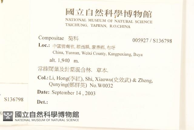 登錄號:S136798藏品圖，第2張