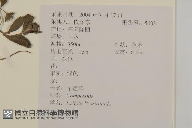 鱧腸藏品圖，第2張