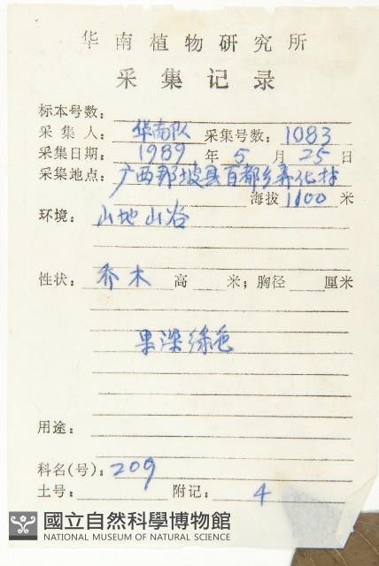 燈臺樹藏品圖，第2張