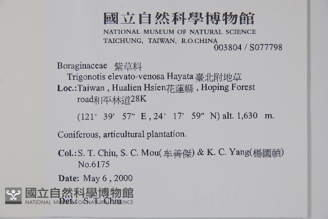 臺北附地草藏品圖，第2張