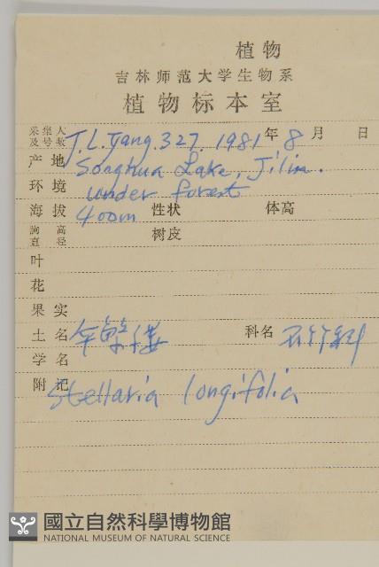 華繁縷藏品圖，第2張