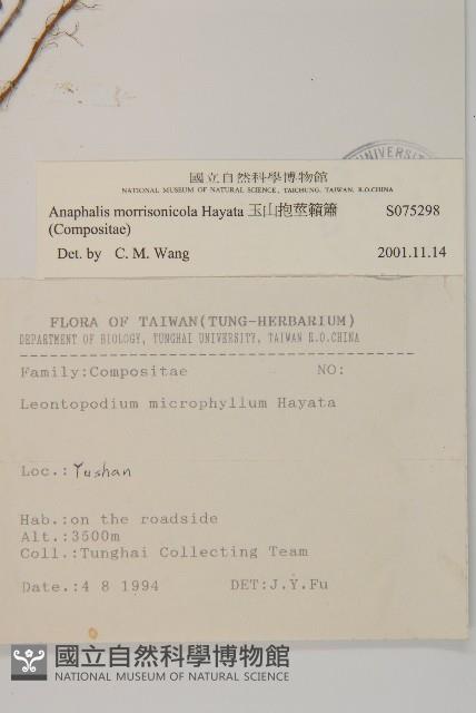 玉山抱莖籟簫藏品圖，第2張