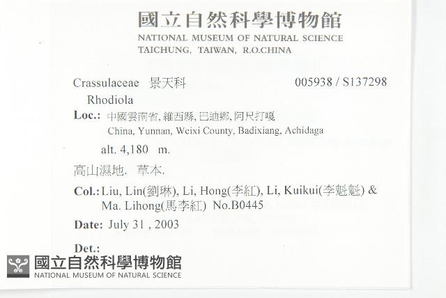 登錄號:S137298藏品圖，第2張