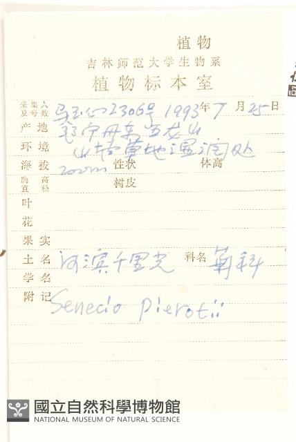 河濱千里光藏品圖，第2張