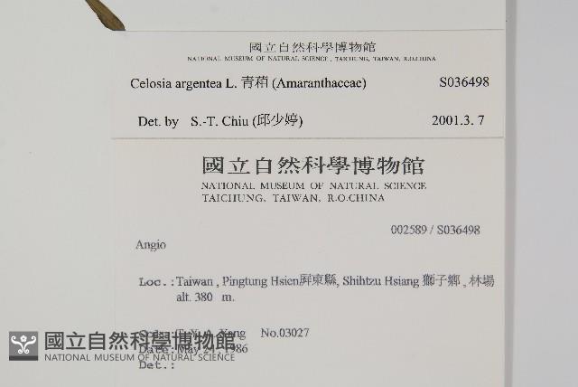 青葙藏品圖，第2張