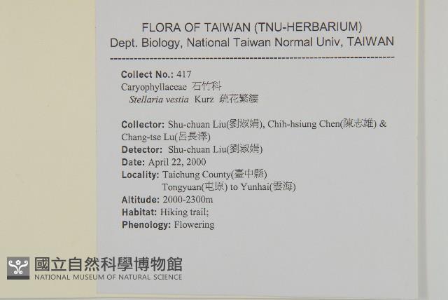 疏花繁縷藏品圖，第2張