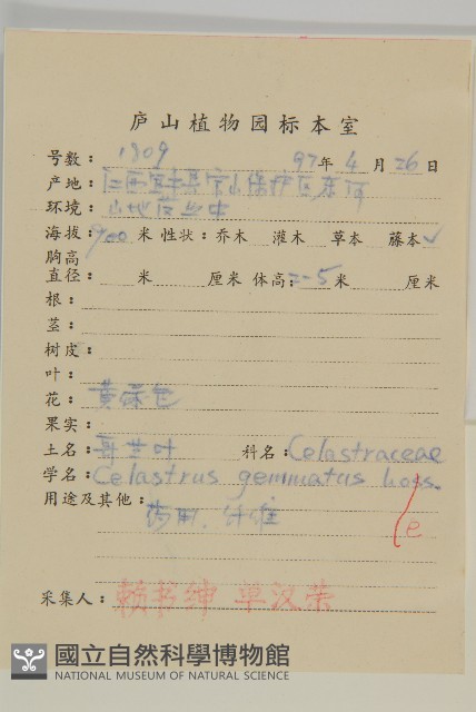 哥蘭葉藏品圖，第2張