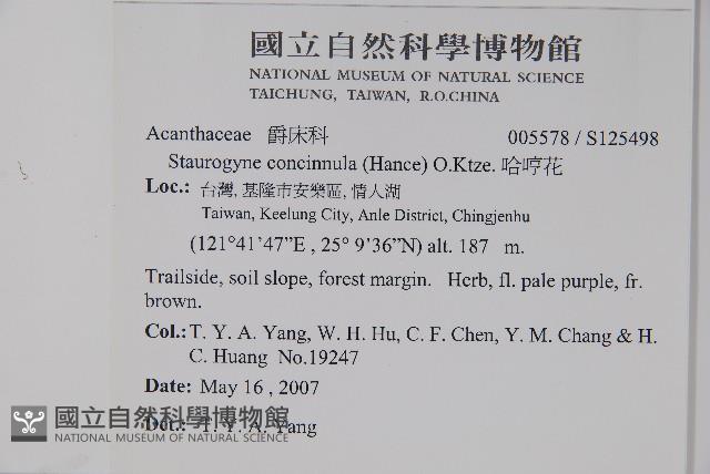 哈哼花藏品圖，第2張