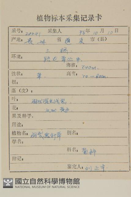 小花鬼針草藏品圖，第2張