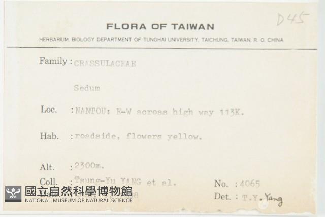 登錄號:S076198藏品圖，第2張