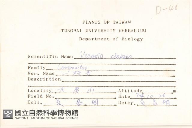 一枝香藏品圖，第2張