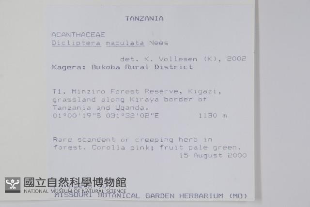 登錄號:S094198藏品圖，第2張