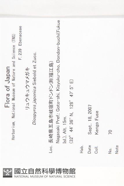 山柿, 山豆柿藏品圖，第2張