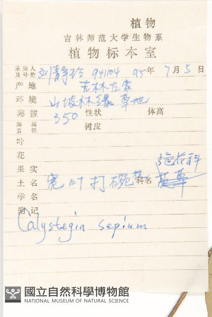 Accession Number:S027198 Collection Image, Figure 2, Total 3 Figures