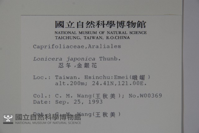 忍冬、金銀花藏品圖，第2張