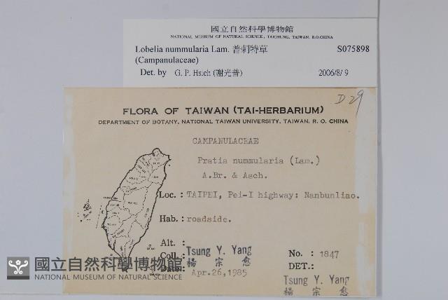 普刺特草藏品圖，第2張