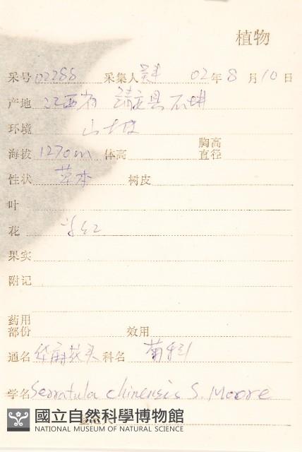 華麻花頭藏品圖，第2張