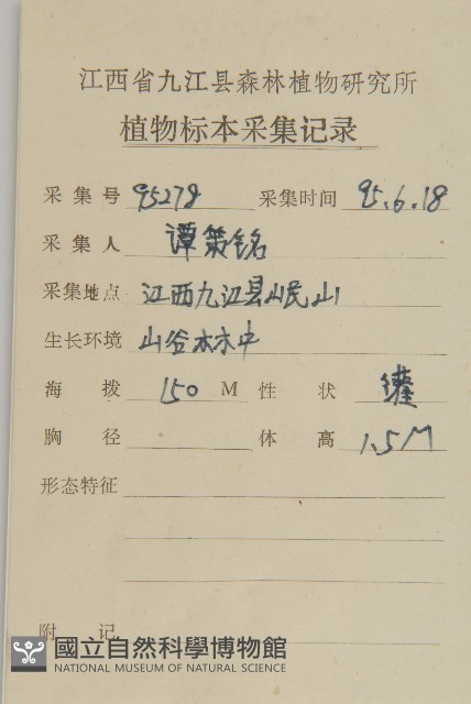 百齒衛矛藏品圖，第2張