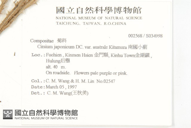 南國小薊藏品圖，第2張