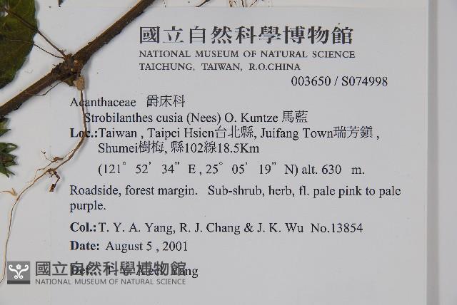 臺灣馬藍藏品圖，第2張