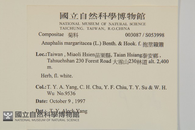 抱莖籟簫藏品圖，第2張