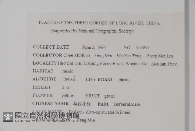 華西小蘗藏品圖，第2張