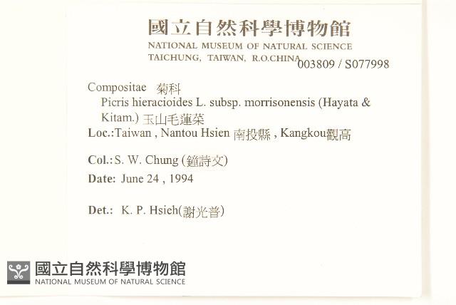 玉山毛蓮菜藏品圖，第2張