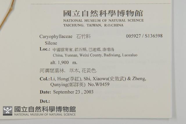 登錄號:S136598藏品圖，第2張