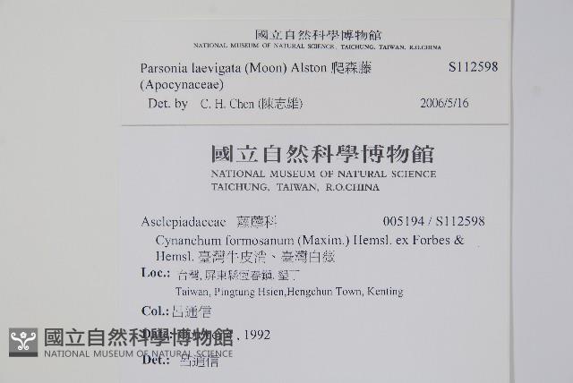 爬森藤藏品圖，第2張