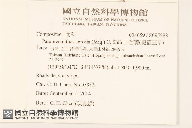 山苦藚、假福王草藏品圖，第2張