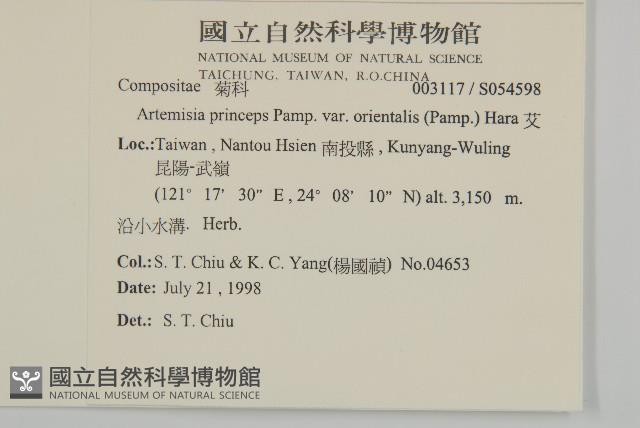 南艾蒿藏品圖，第2張