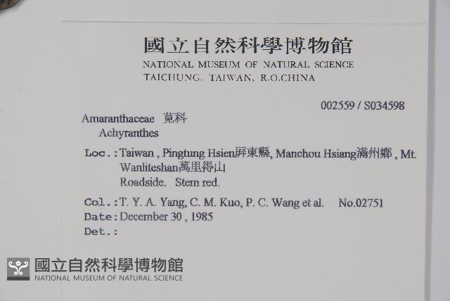 登錄號:S034598藏品圖，第2張