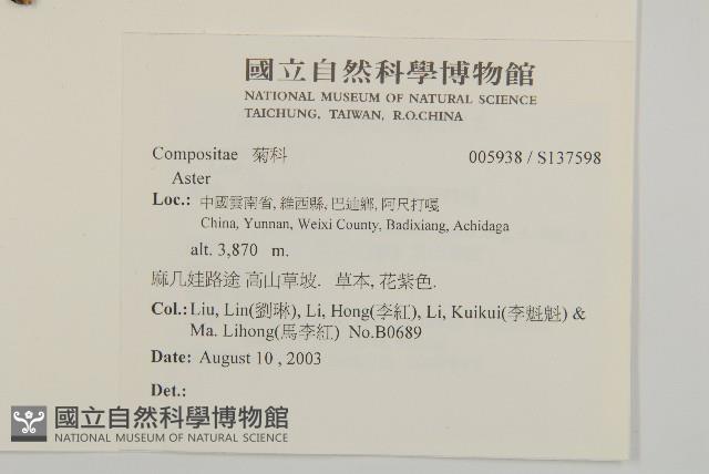 登錄號:S137598藏品圖，第2張