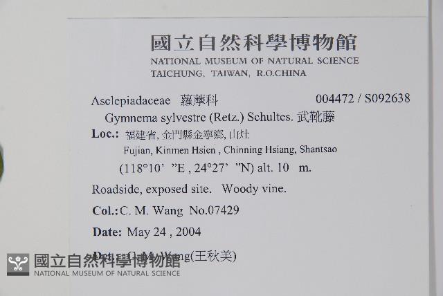 武靴藤藏品圖，第2張