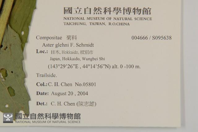 登錄號:S095638藏品圖，第2張