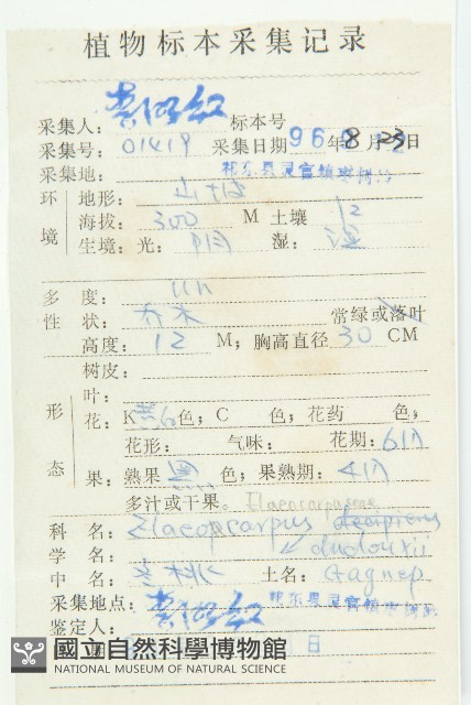 冬桃藏品圖，第2張