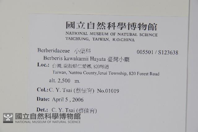 臺灣小蘗藏品圖，第2張