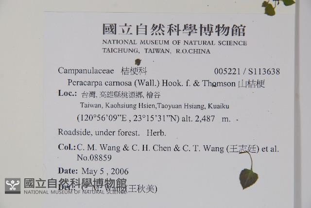 山桔梗藏品圖，第2張