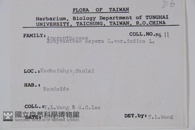 印度牛膝、土牛藤藏品圖，第2張