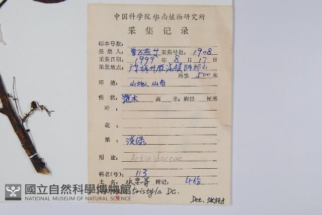 水東哥藏品圖，第2張