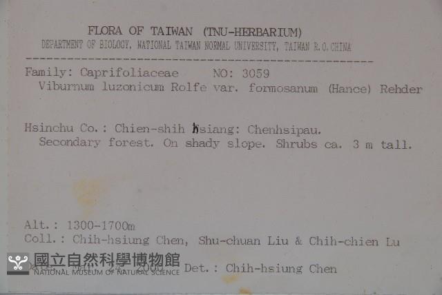 紅子莢迷藏品圖，第2張