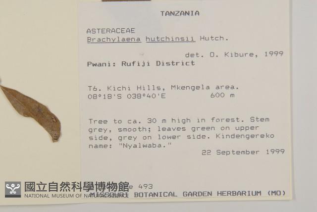 登錄號:S096038藏品圖，第2張