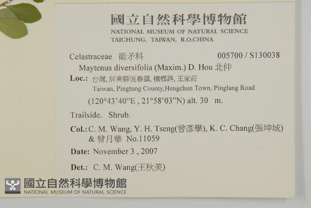 北仲, 刺裸實藏品圖，第2張