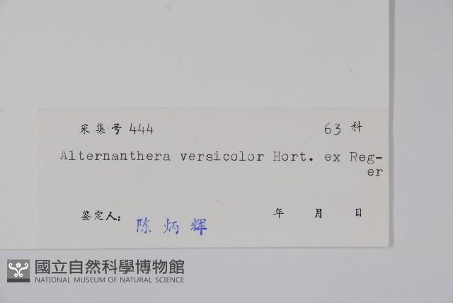 錦繡莧藏品圖，第2張