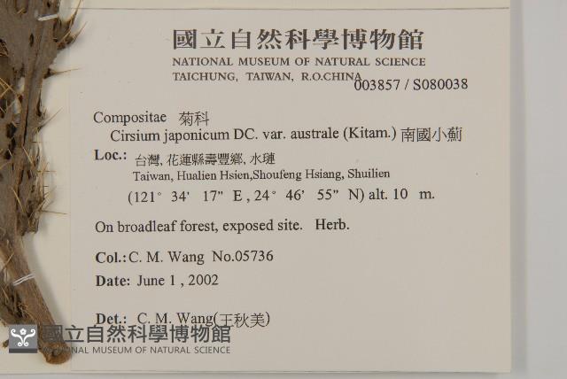 南國小薊藏品圖，第2張