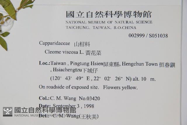 向天黃藏品圖，第2張